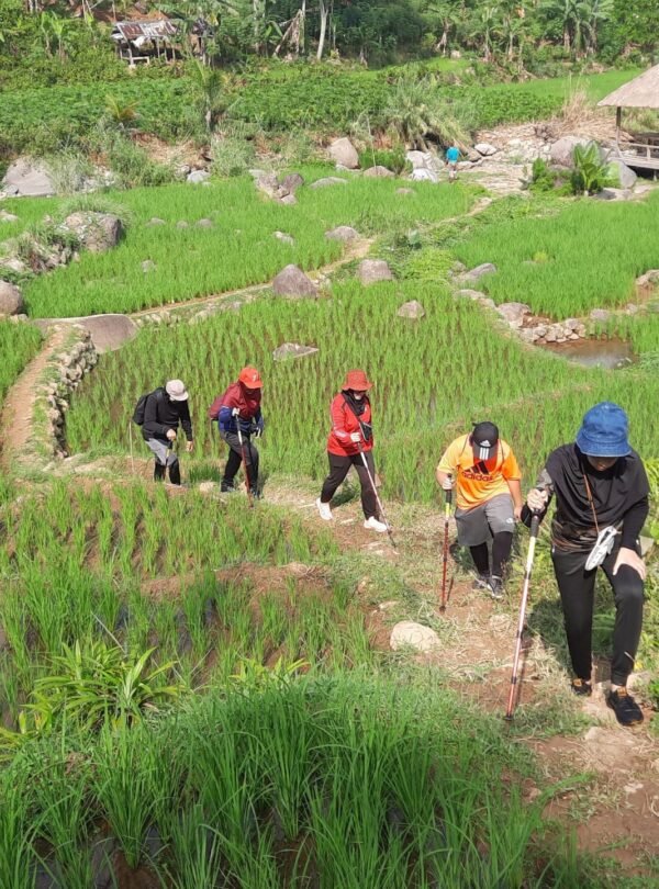 Trekking sentul bogor